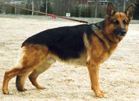 Bild: Akjas &Aring;lex